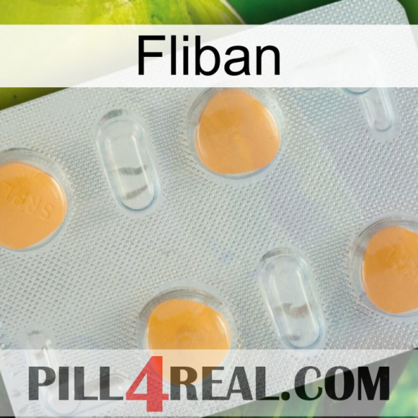 Fliban 24